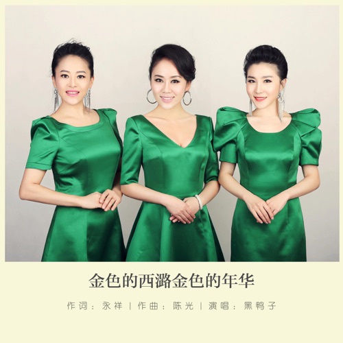 金色的西潞金色的年华 – Single – 黑鸭子-无损音乐