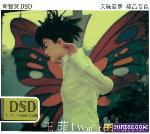 王菲 Di Dar-无损音乐