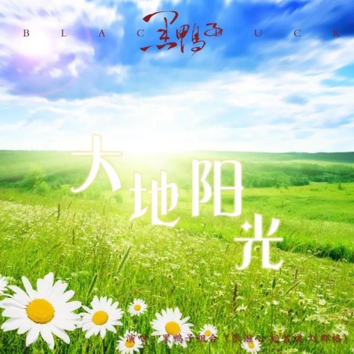 大地阳光 – Single – 黑鸭子-无损音乐